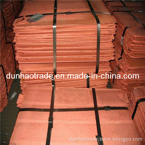 Reliable Supplier for High Purity Copper Cathods 99.99%